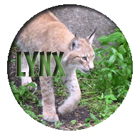 Lynx